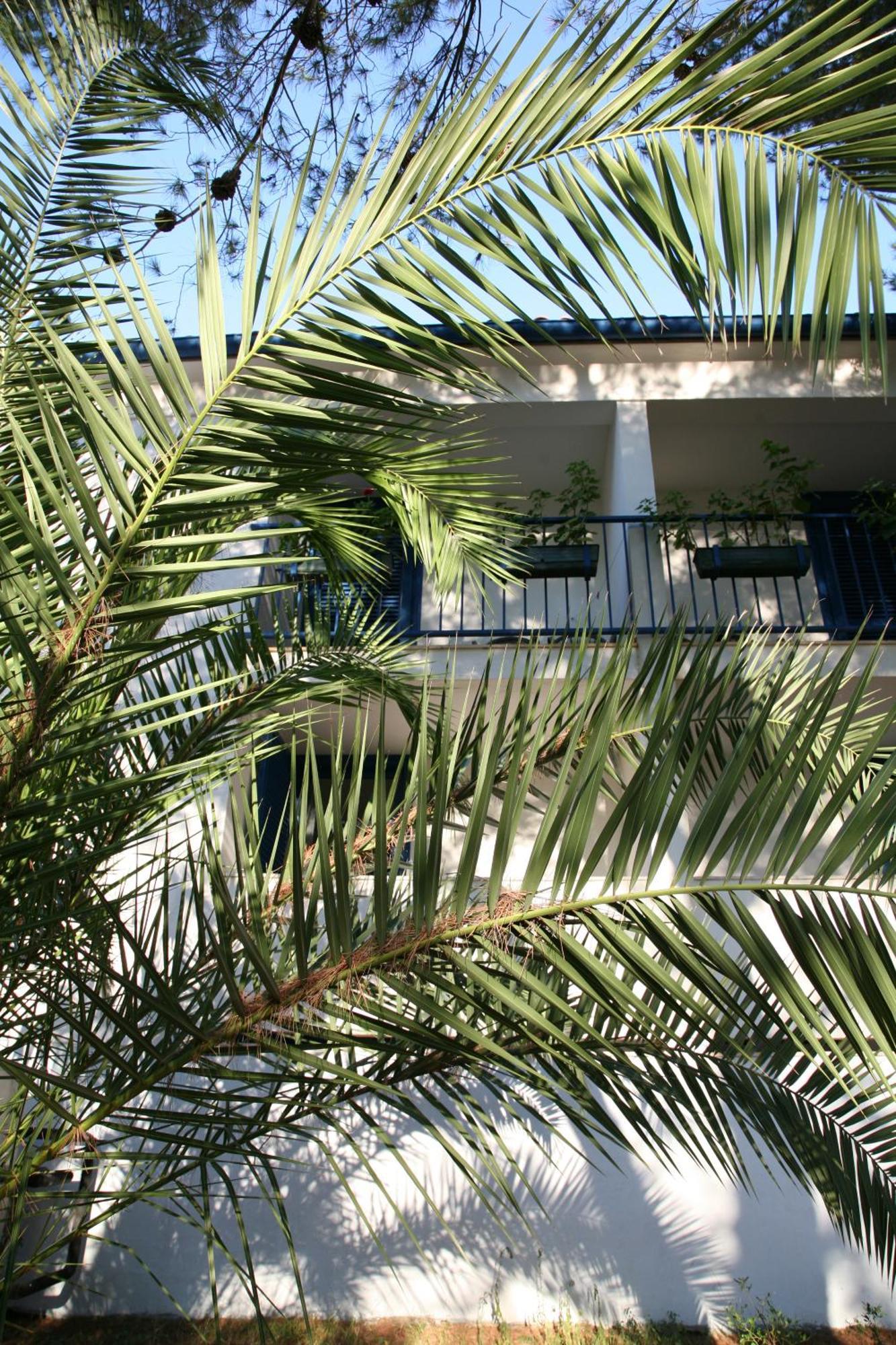 Hotel Sali Bagian luar foto